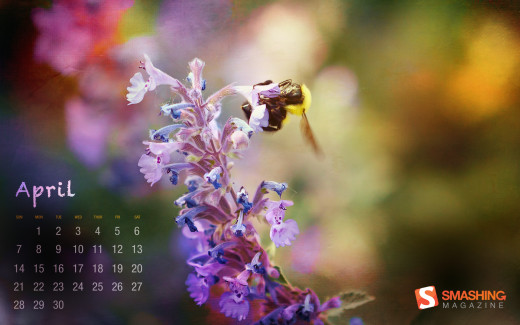 711136 (a): :1920x1200